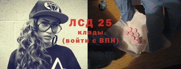 прущие грибы Аркадак