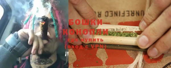 прущие грибы Аркадак