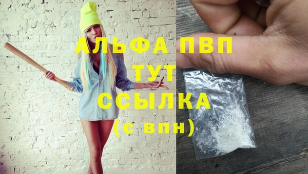 прущие грибы Аркадак