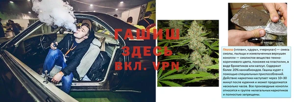 прущие грибы Аркадак