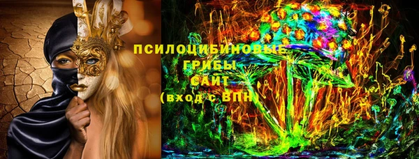 прущие грибы Аркадак