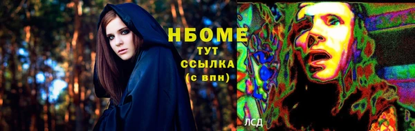 прущие грибы Аркадак