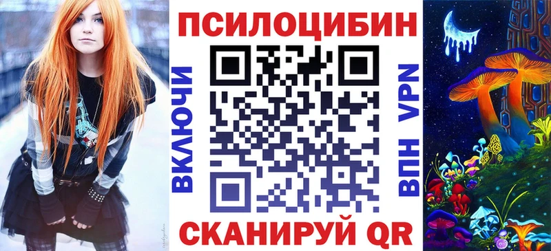 Псилоцибиновые грибы Psilocybine cubensis  Купить где  Высоковск 